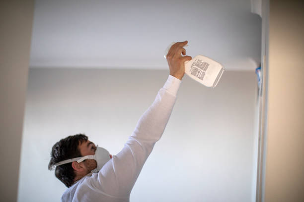 Office Mold Removal Services in Erwin, NC